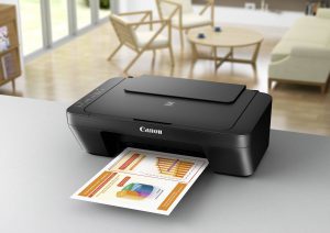 Impresora Canon Pixma MG2555S